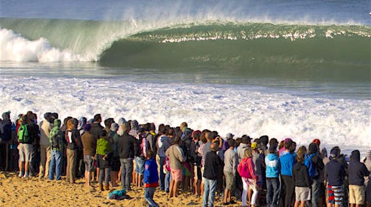 SURF PANORAMA - Radiographie d’une génération à l’initiative d’EuroSIMA